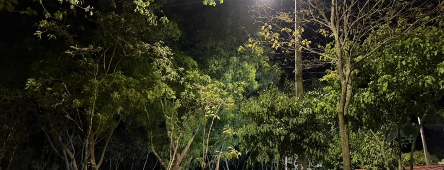 Zona verde de IV Centenario Casas – Bosques de San Luis, sur de Neiva, ya cuenta con expansión de alumbrado público