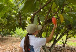 FICCA 2026 tendrá una amplia oferta agroturística del Huila